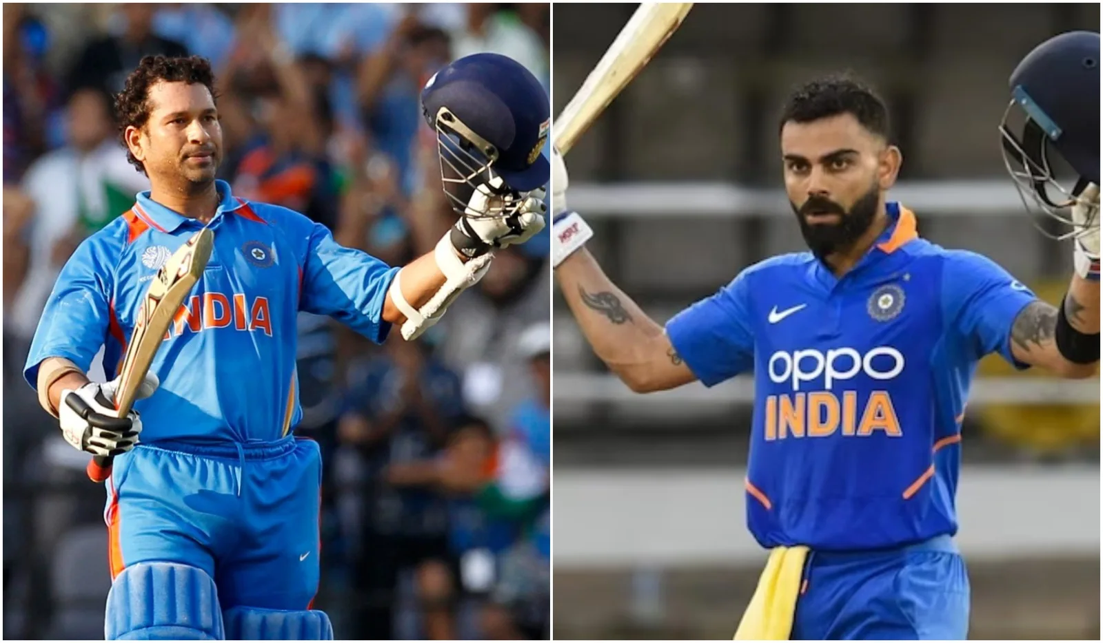 Goat of cricket